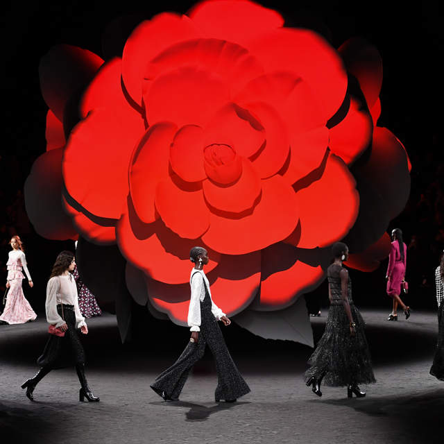 El espíritu y color de la camelia de Chanel inundan su colección otoño/invierno 2023-2024: tweed, plumas y siluetas clásicas