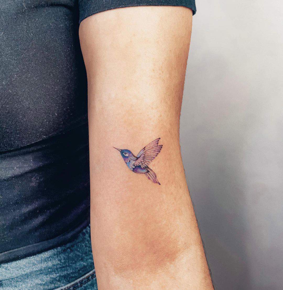 Tatuaje de pájaro en color