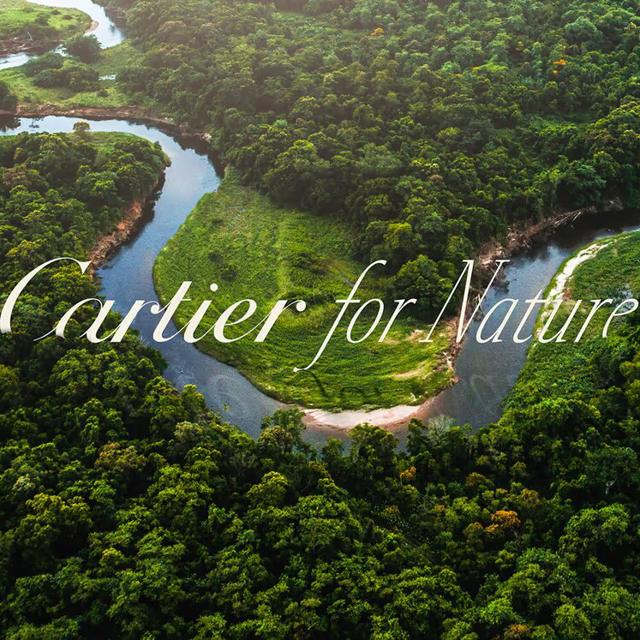 Cartier for Nature presenta nueva página web