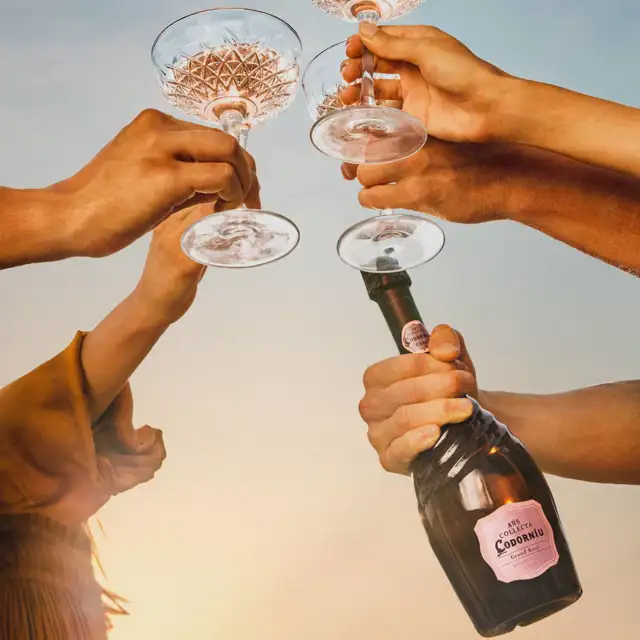 ¿Lista para disfrutar de un verano lleno de momentos para brindar?