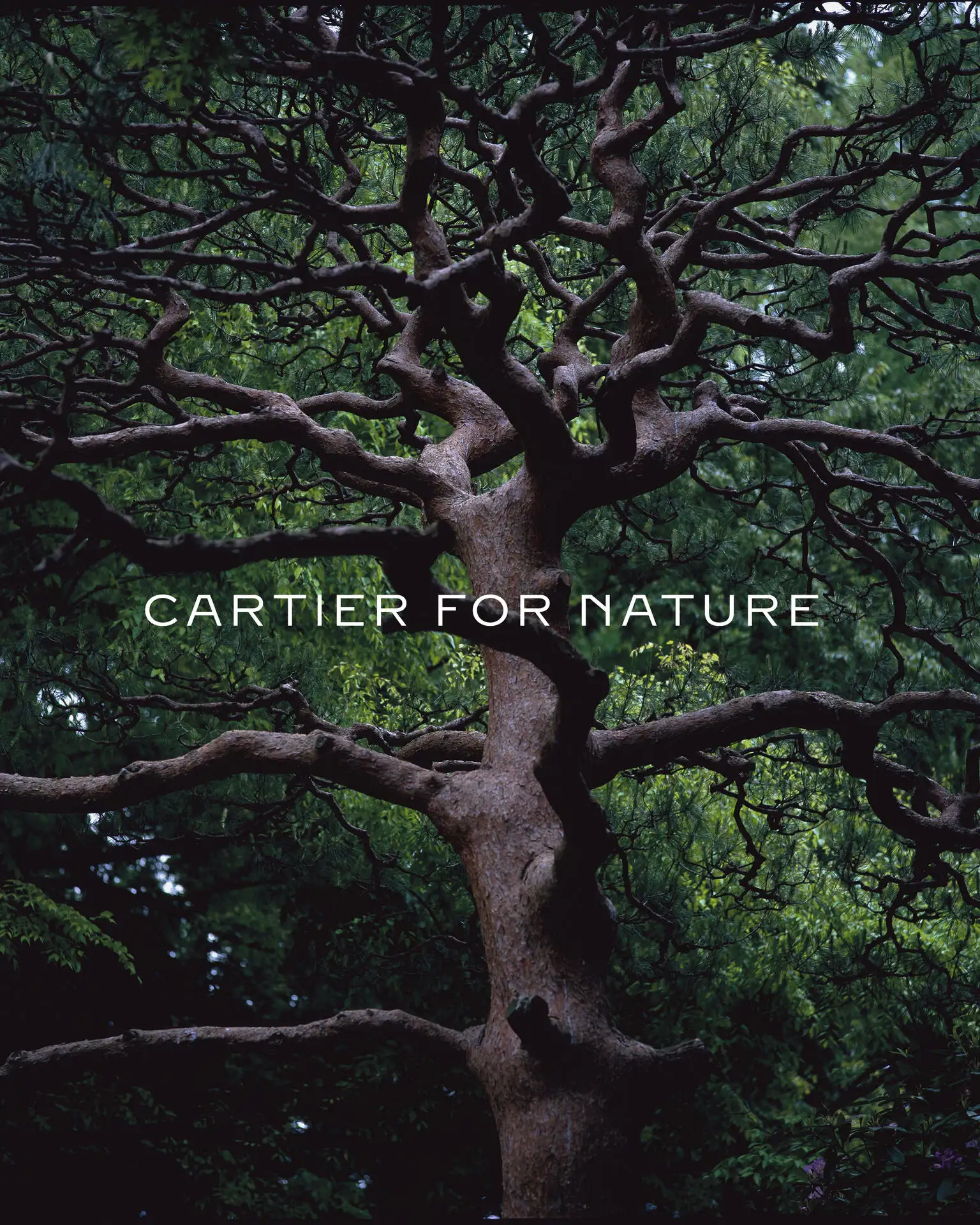 Cartier for Nature