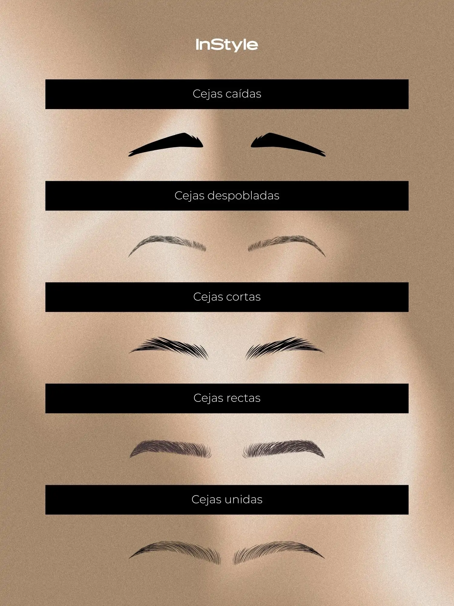 Tipos de cejas