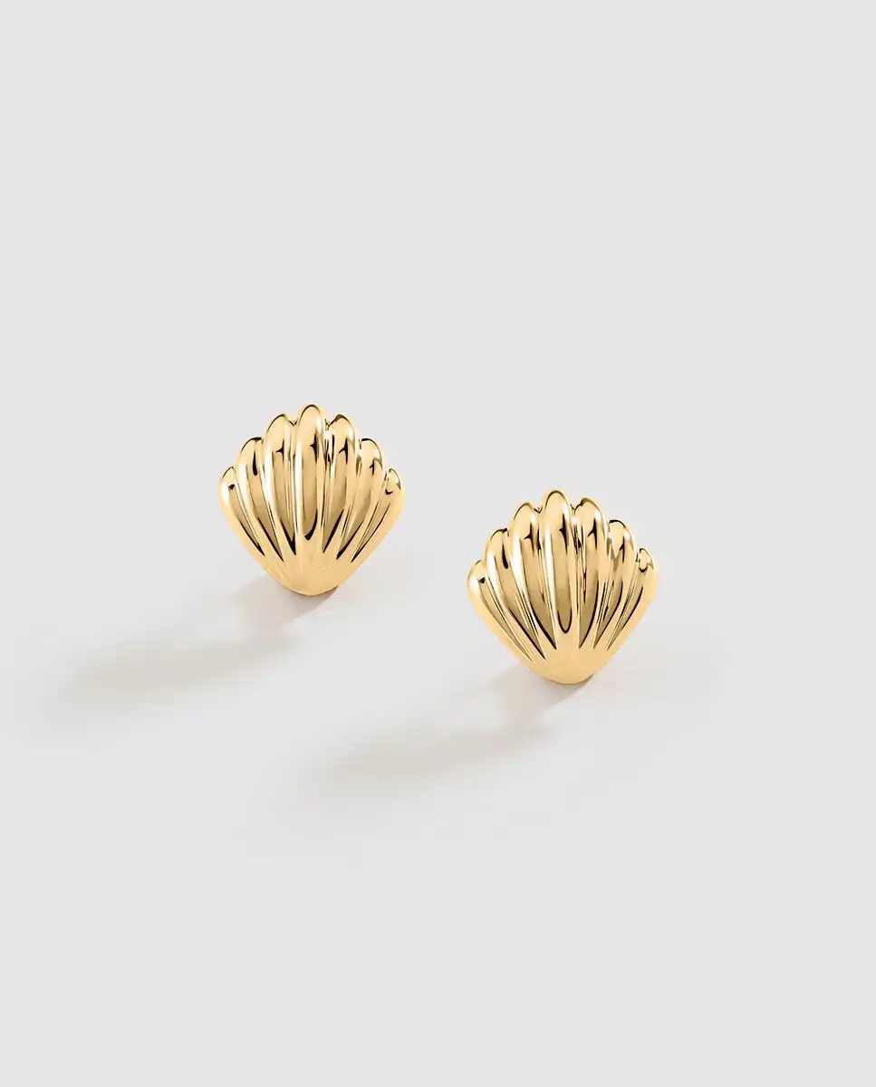 Pendientes concha