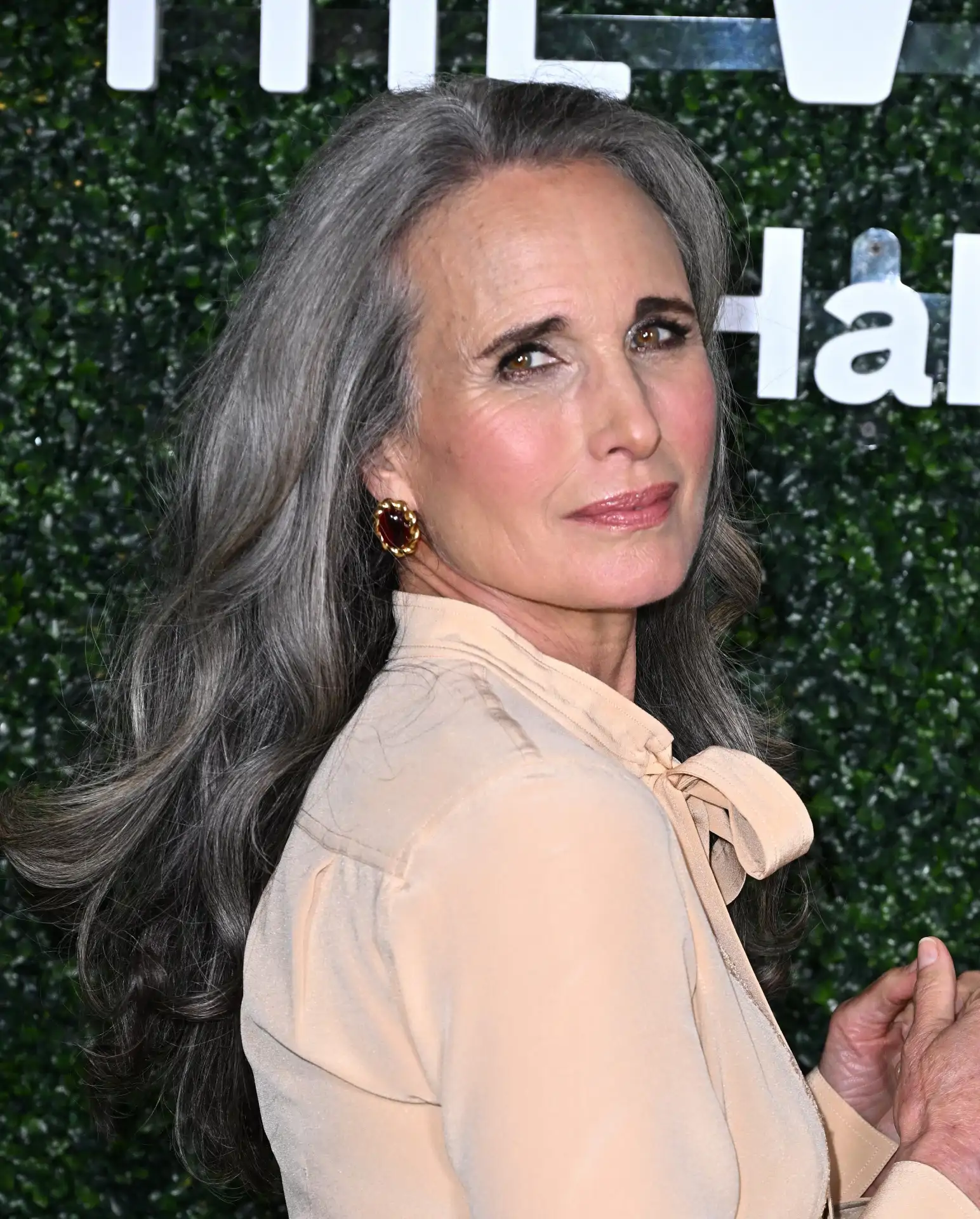 andie macdowell canas pelo gris