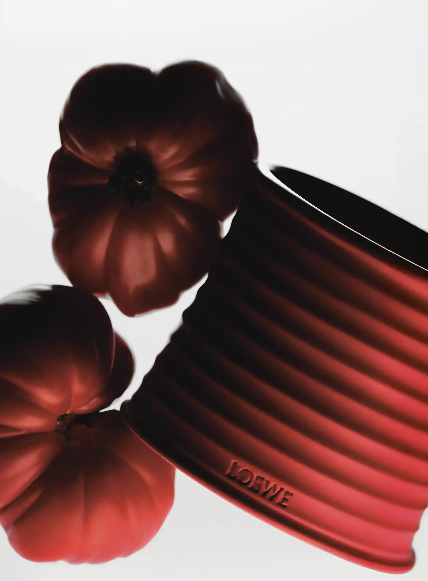 Vela Romano Leaves de Loewe
