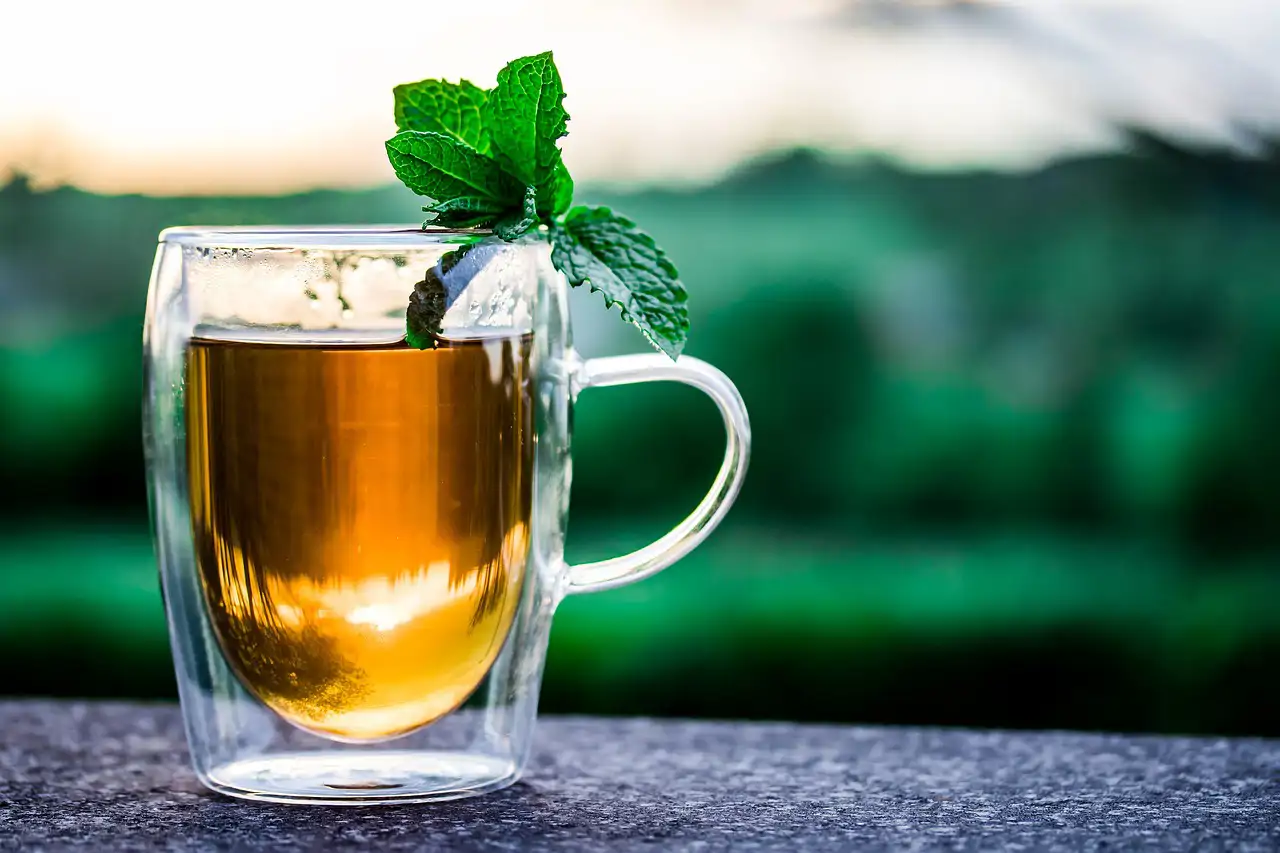 Infusiones que rejuvenecen: menta 