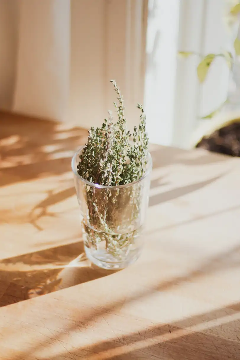 Infusiones que rejuvenecen: tomillo 