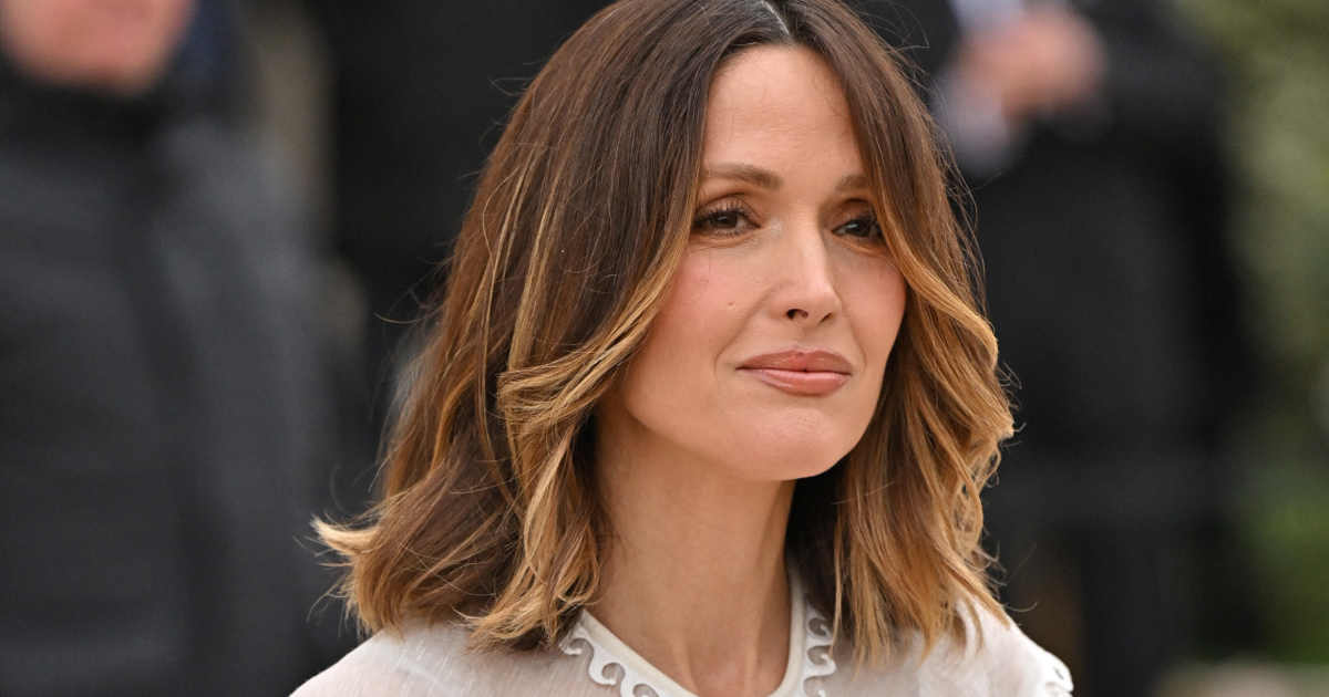 Reflejos en pelo castaño: las mechas perfectas para contornear el ...