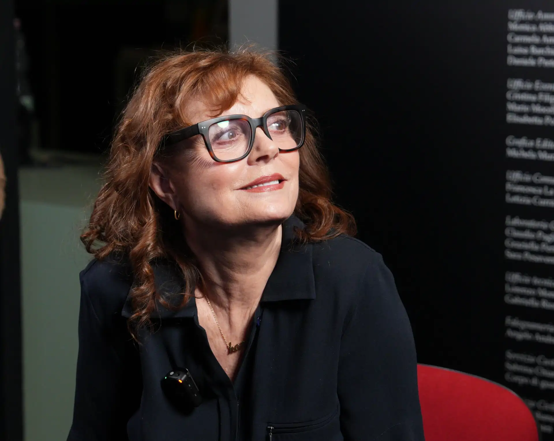 Susan Sarandon