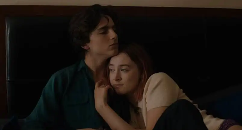 lady bird