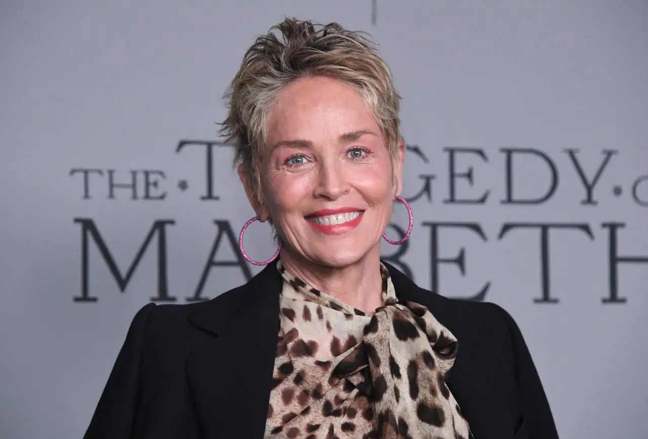 Sharon Stone look pixie