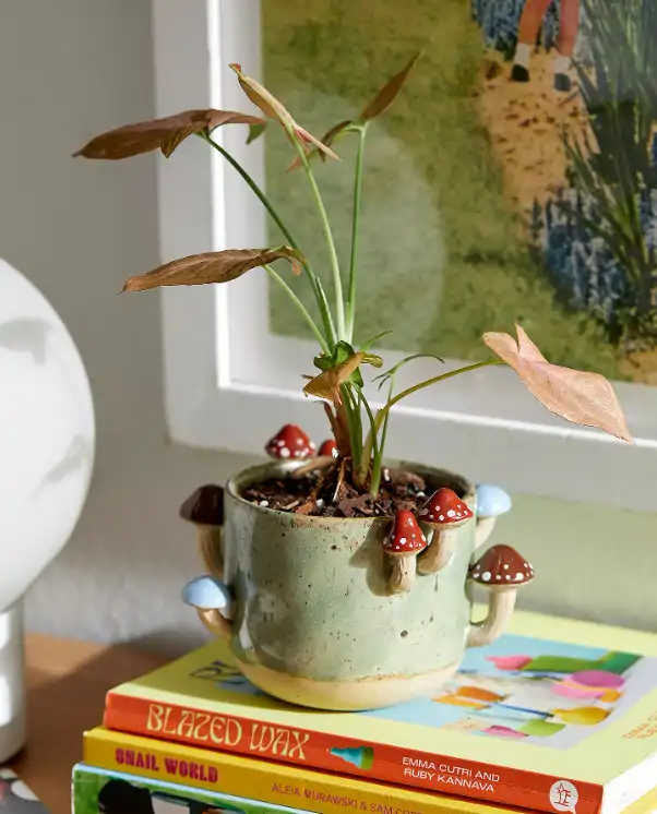 Urban Outfitters Deco