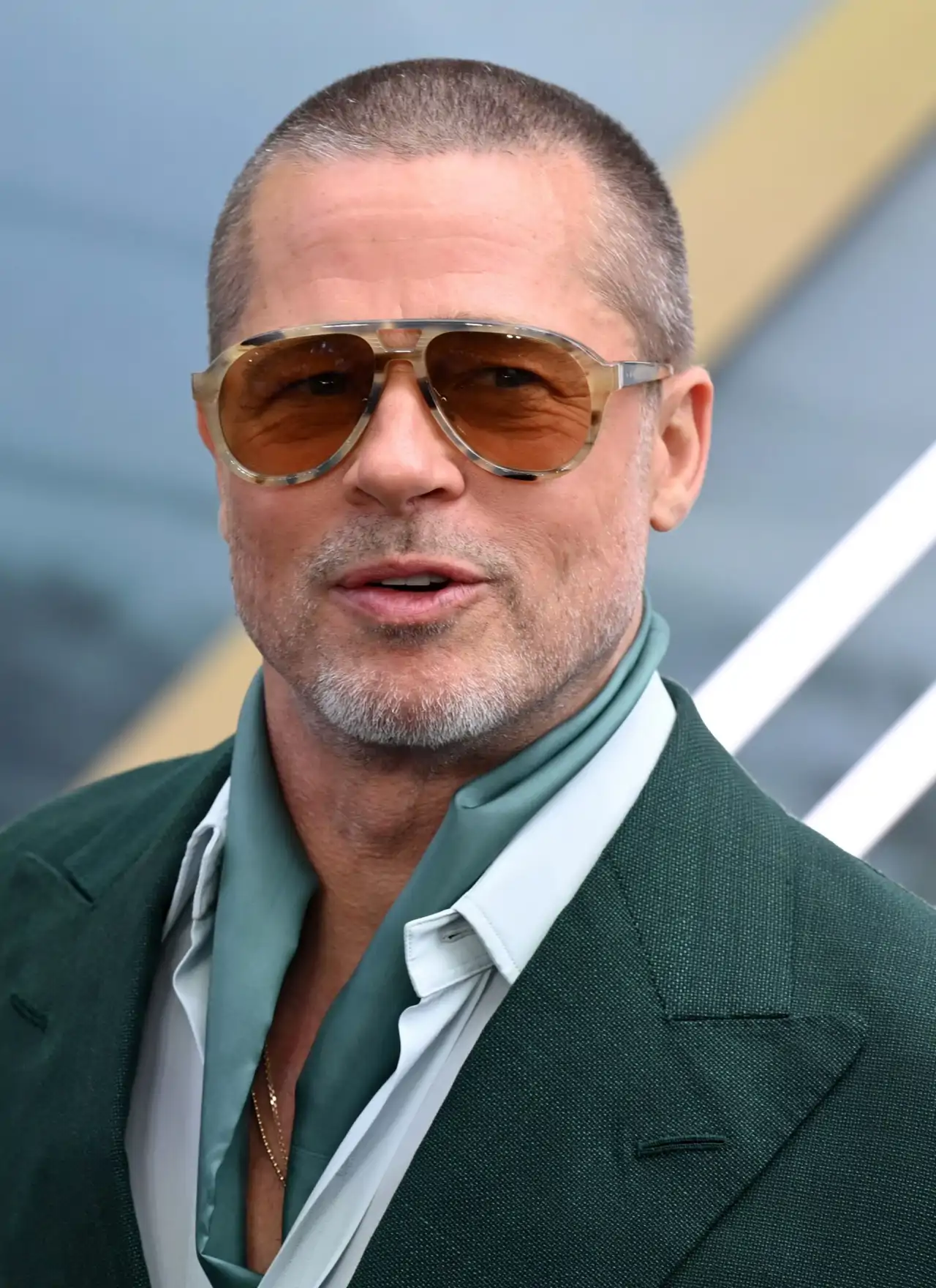 Brad Pitt_Beau Domaine