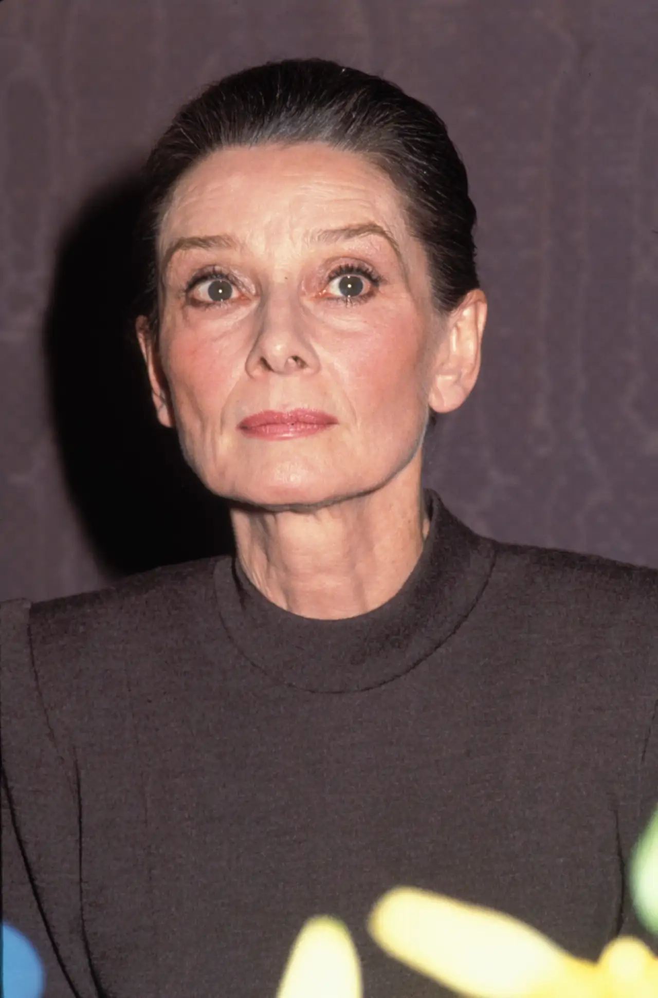 Audrey Hepburn