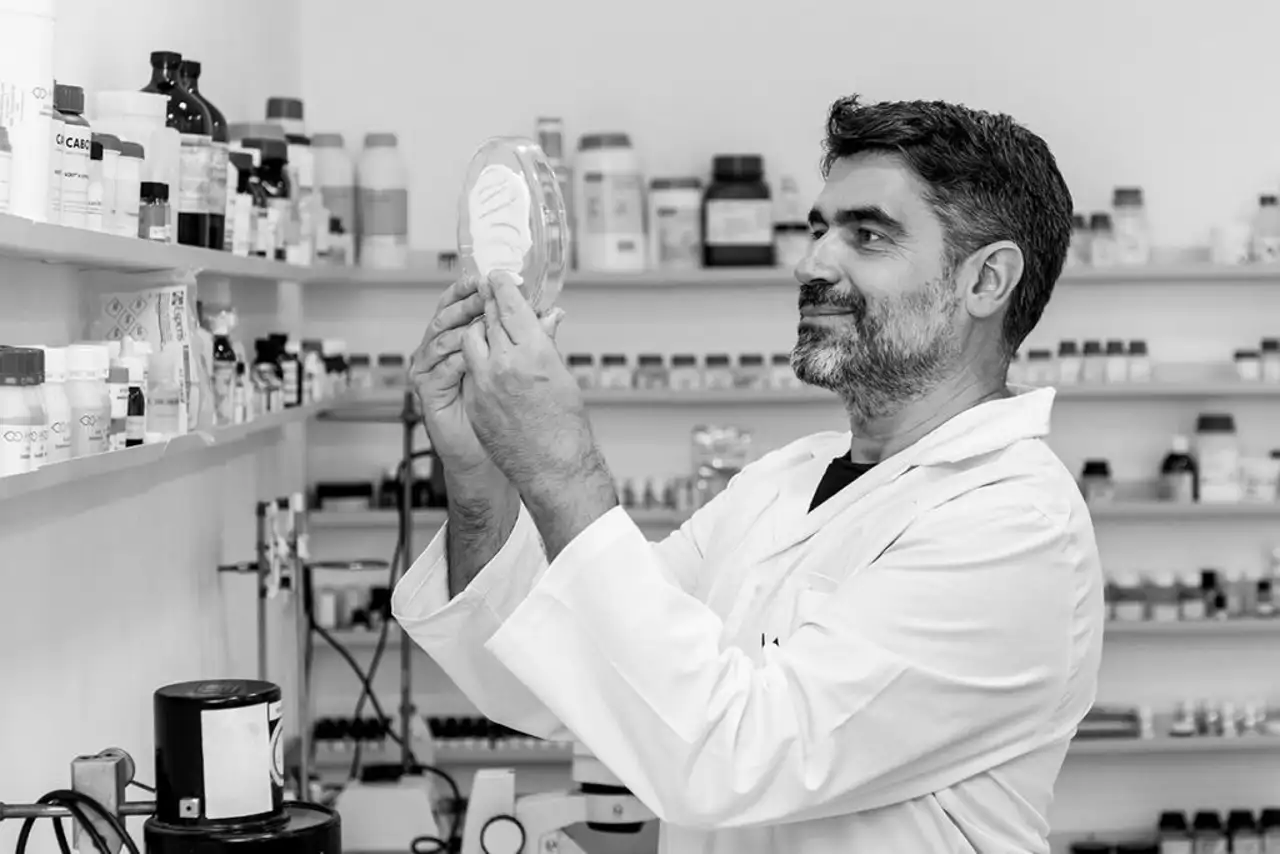 pedro catala